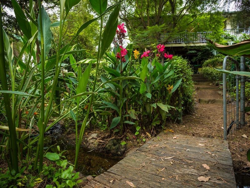 20-24 Scott Street, Wolumla NSW 2550