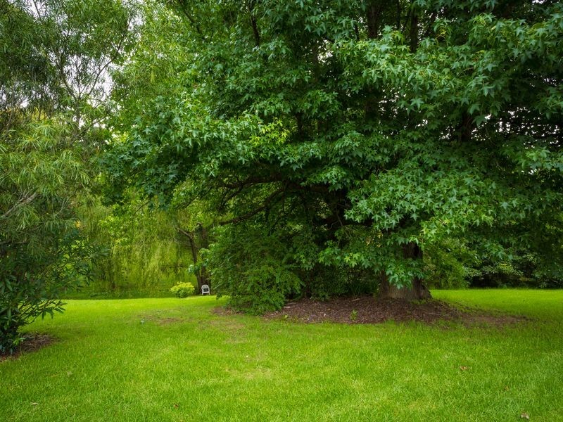 20-24 Scott Street, Wolumla NSW 2550