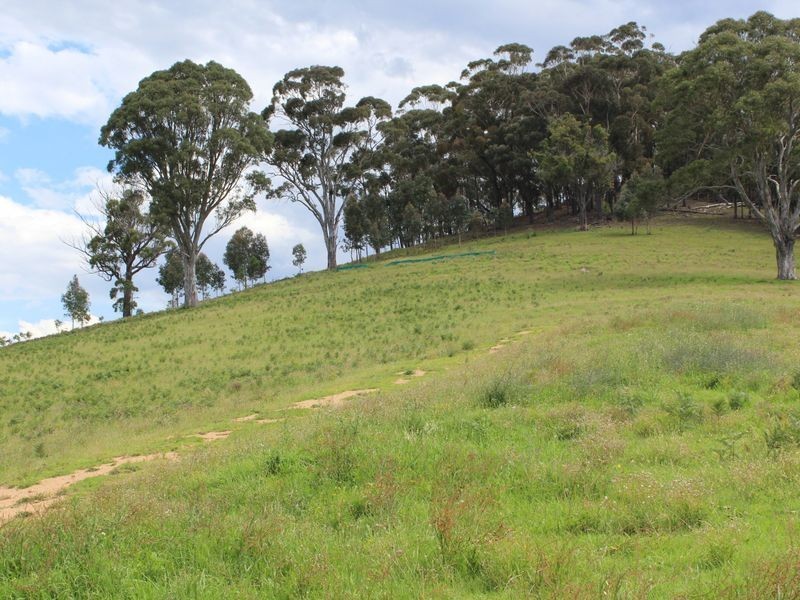 Lot 661 Mine Lane, Wolumla NSW 2550