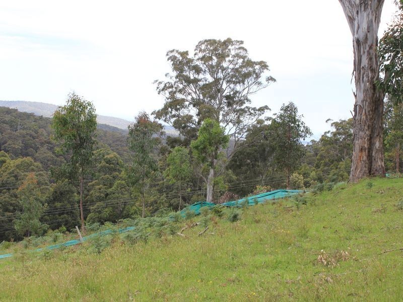 Lot 661 Mine Lane, Wolumla NSW 2550