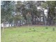 Lot 661 Mine Lane, Wolumla NSW 2550