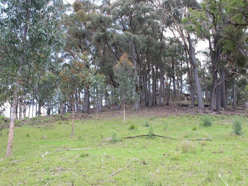 Lot 661 Mine Lane, Wolumla NSW 2550