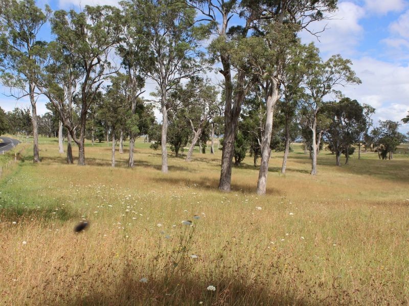 Lot 9 Newlyns Estate, Bega NSW 2550