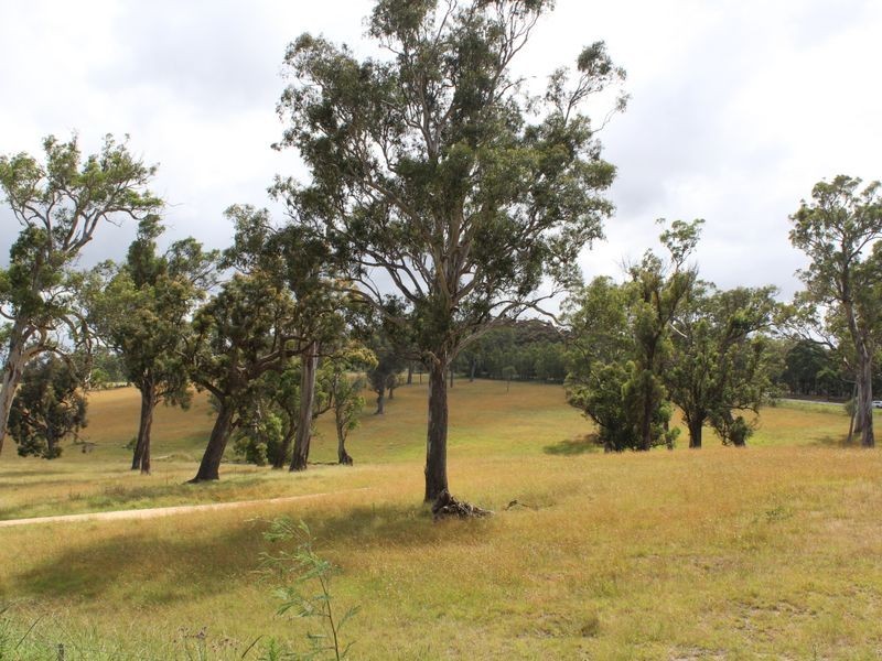 Lot 9 Newlyns Estate, Bega NSW 2550