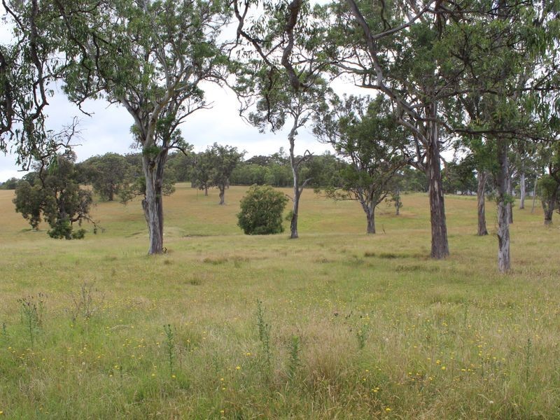 Lot 9 Newlyns Estate, Bega NSW 2550