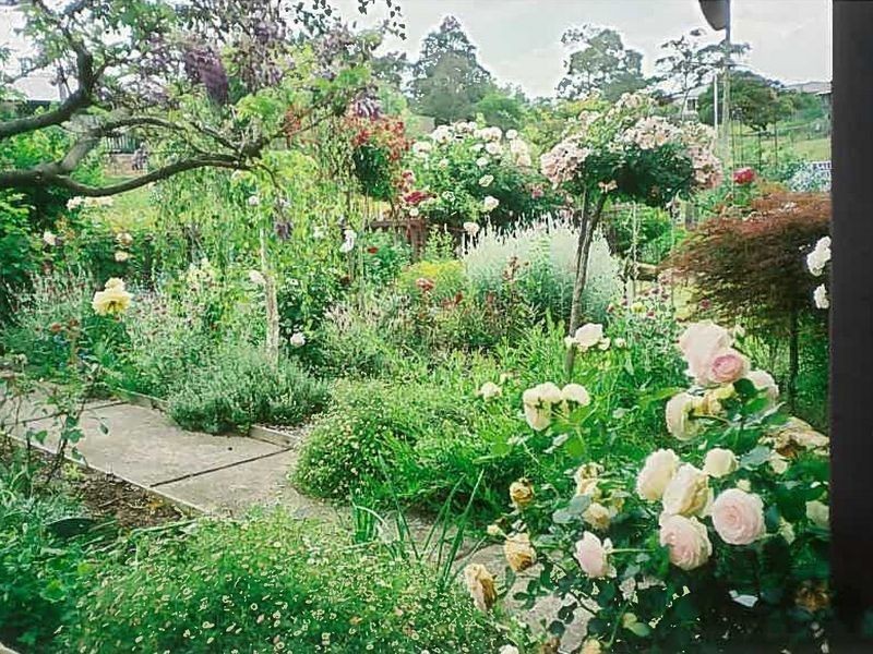 22 Hoyer Street, Cobargo NSW 2550