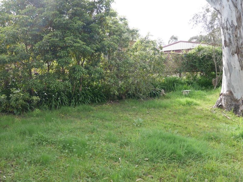 12 Eden Street, Wolumla NSW 2550