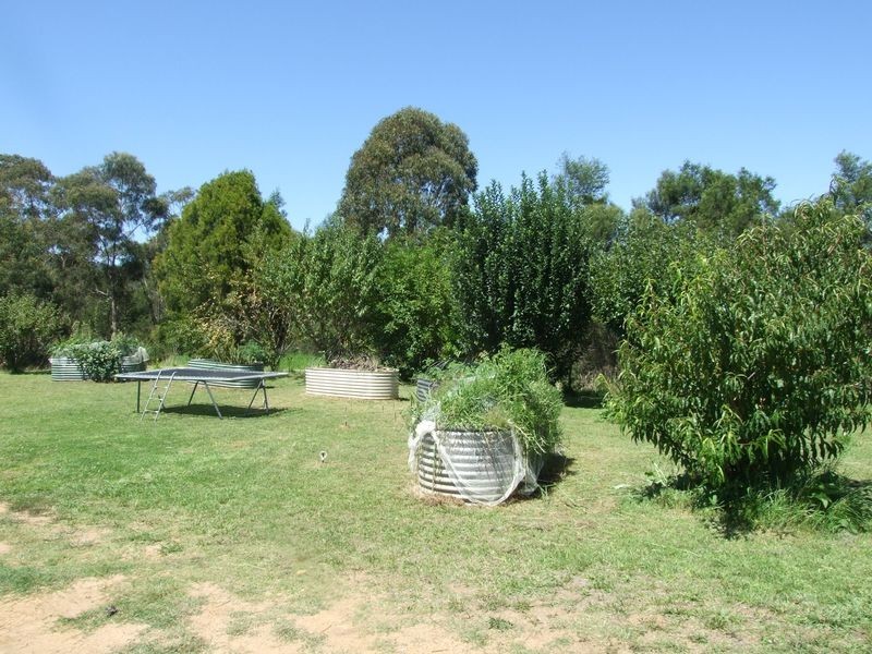 372 New Buildings Road, Wyndham NSW 2550