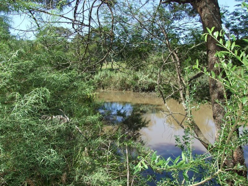 372 New Buildings Road, Wyndham NSW 2550