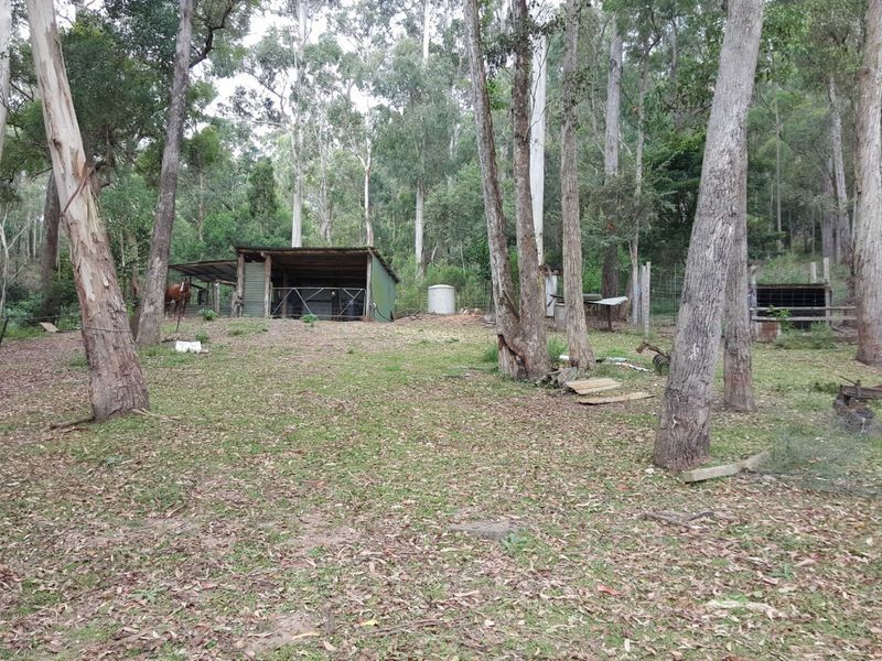 556 Reedy Swamp Road, Tarraganda NSW 2550