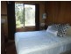556 Reedy Swamp Road, Tarraganda NSW 2550