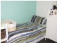 556 Reedy Swamp Road, Tarraganda NSW 2550