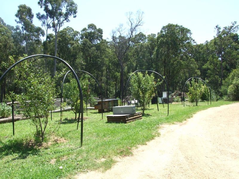 556 Reedy Swamp Road, Tarraganda NSW 2550