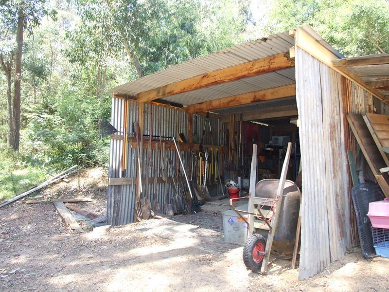 556 Reedy Swamp Road, Tarraganda NSW 2550