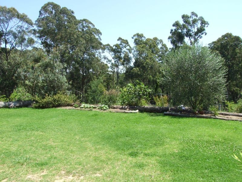 556 Reedy Swamp Road, Tarraganda NSW 2550