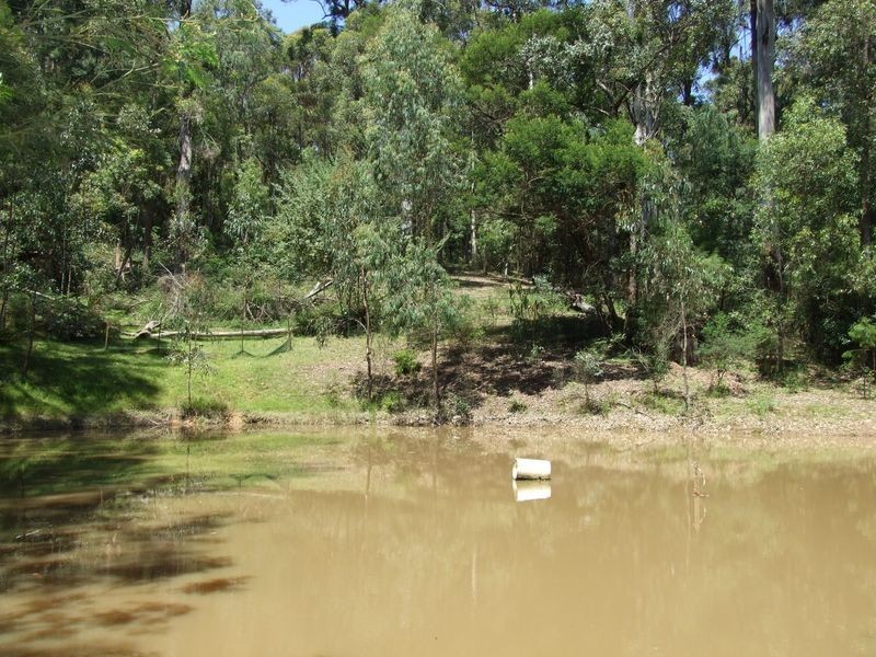 556 Reedy Swamp Road, Tarraganda NSW 2550