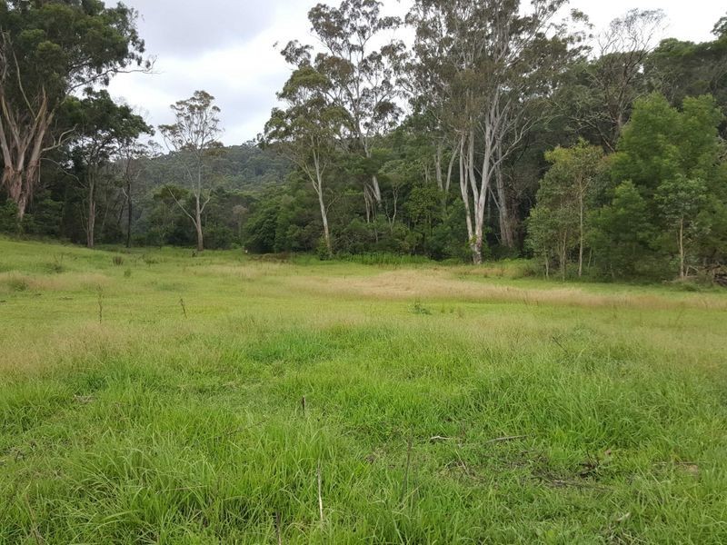 556 Reedy Swamp Road, Tarraganda NSW 2550