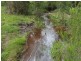 556 Reedy Swamp Road, Tarraganda NSW 2550