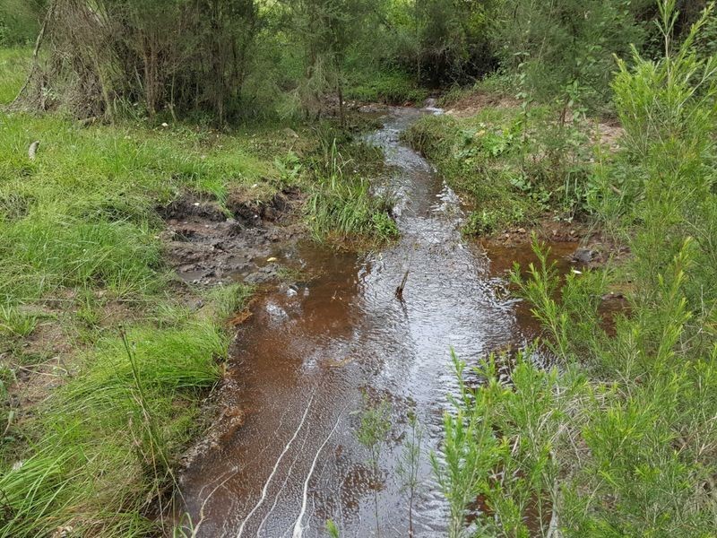 556 Reedy Swamp Road, Tarraganda NSW 2550
