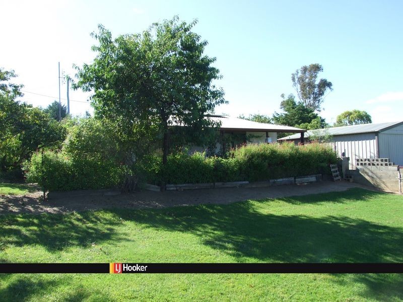 55 Gordon Street, Candelo NSW 2550