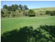 55 Gordon Street, Candelo NSW 2550
