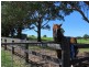 182 Coolagolite Road, Coolagolite NSW 2550