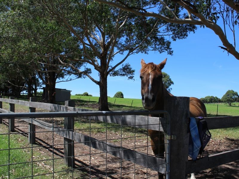 182 Coolagolite Road, Coolagolite NSW 2550