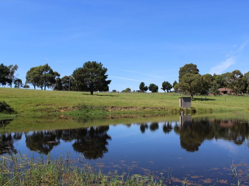 182 Coolagolite Road, Coolagolite NSW 2550