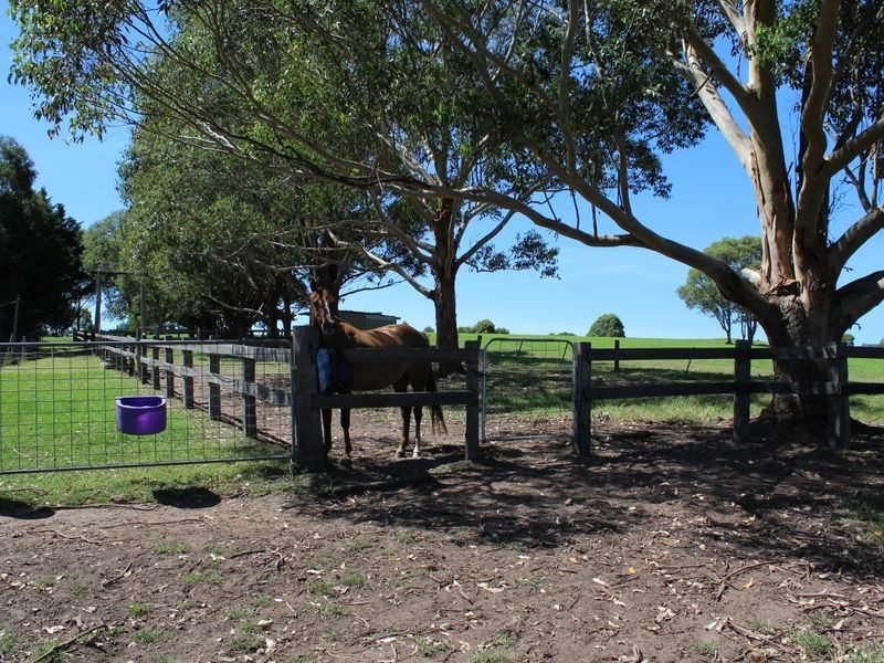 182 Coolagolite Road, Coolagolite NSW 2550