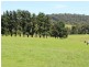 182 Coolagolite Road, Coolagolite NSW 2550