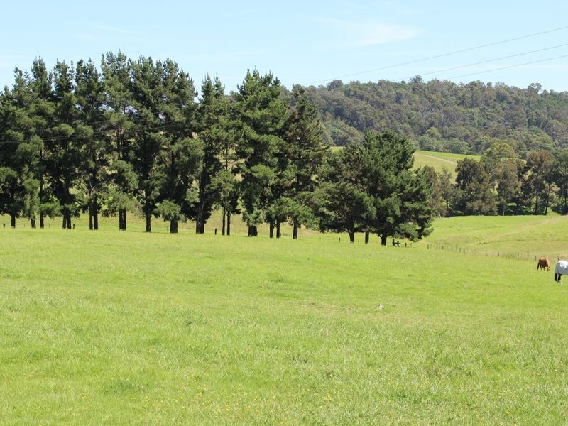 182 Coolagolite Road, Coolagolite NSW 2550