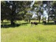 182 Coolagolite Road, Coolagolite NSW 2550
