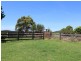 182 Coolagolite Road, Coolagolite NSW 2550