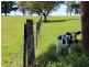 182 Coolagolite Road, Coolagolite NSW 2550
