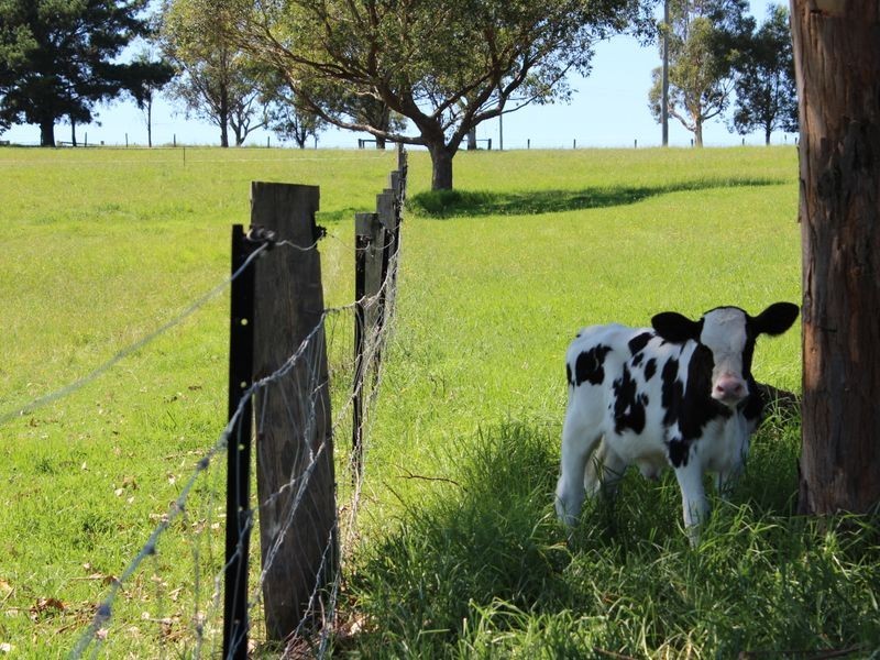 182 Coolagolite Road, Coolagolite NSW 2550