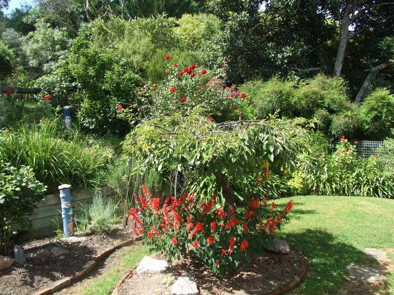 28 William Street, Candelo NSW 2550