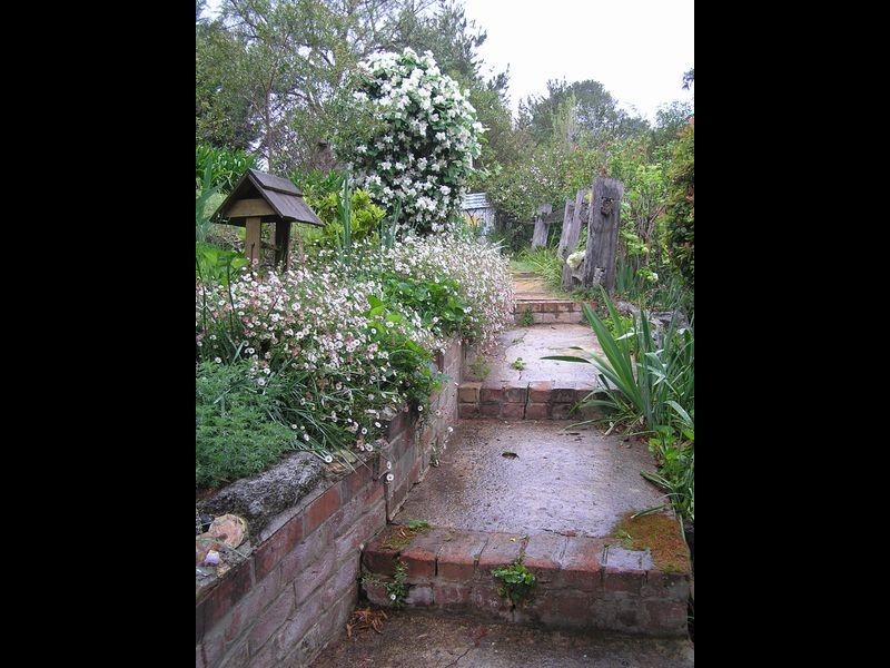 28 William Street, Candelo NSW 2550