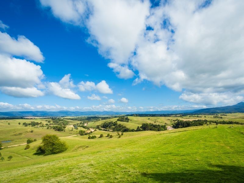 424 West Kameruka Road, Bega NSW 2550