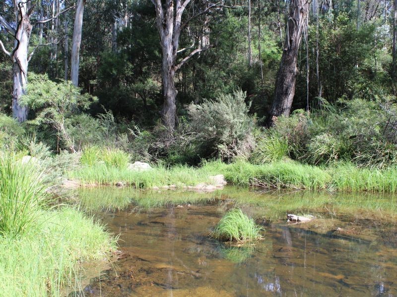 712 New Buildings Road, Wyndham NSW 2550