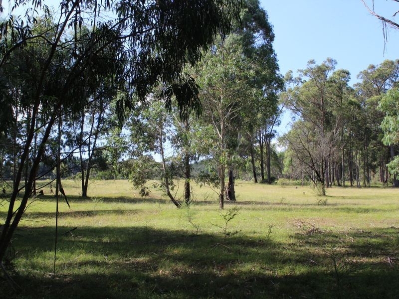 712 New Buildings Road, Wyndham NSW 2550