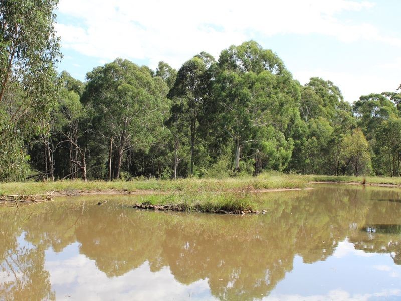 712 New Buildings Road, Wyndham NSW 2550