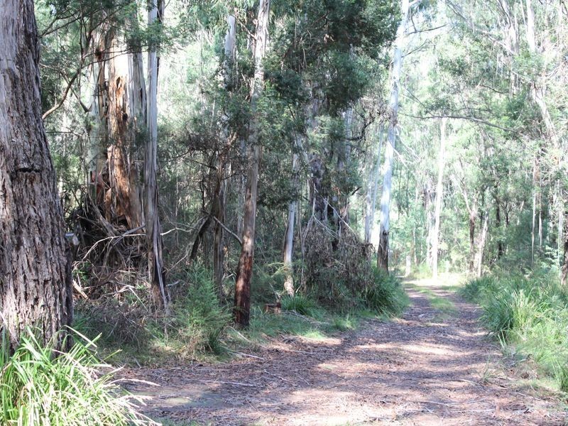 712 New Buildings Road, Wyndham NSW 2550