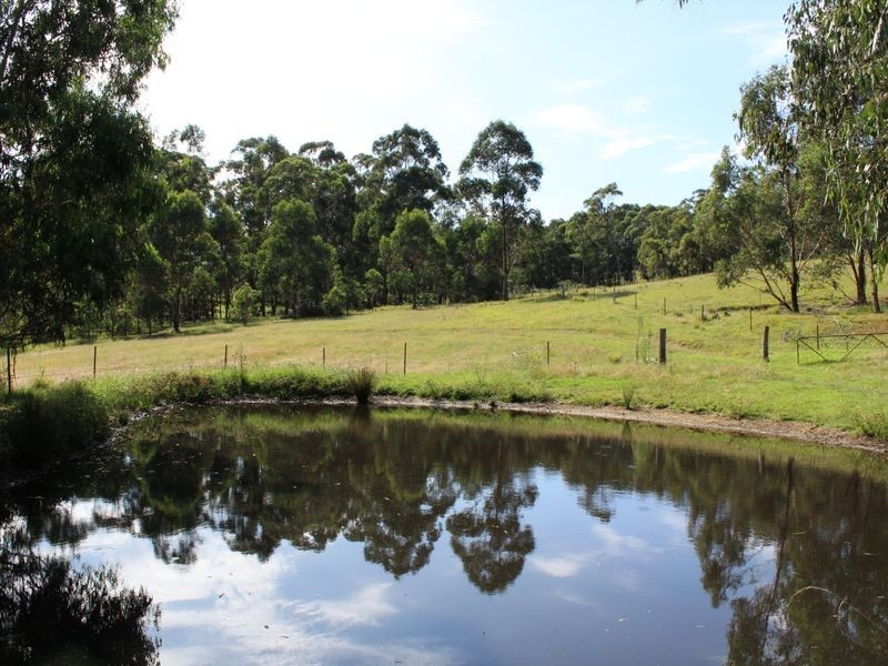 712 New Buildings Road, Wyndham NSW 2550