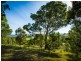 116 Black Range Road, Bega NSW 2550