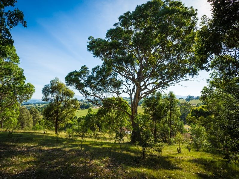 116 Black Range Road, Bega NSW 2550