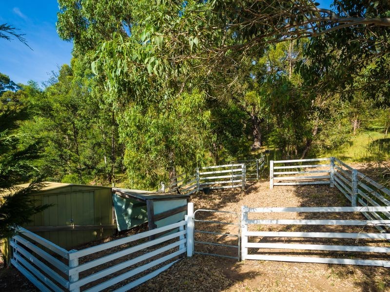 116 Black Range Road, Bega NSW 2550
