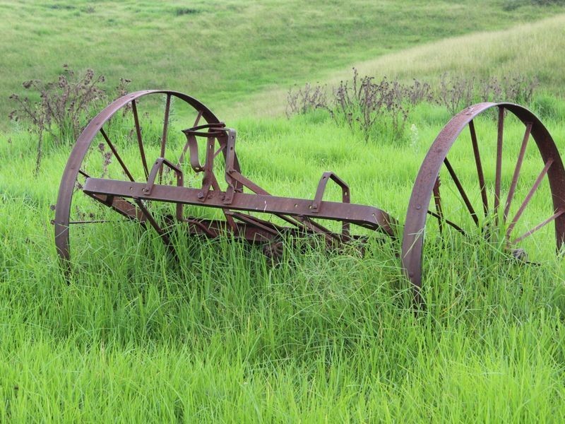 0482 Alcock Collins Road, Bemboka NSW 2550