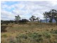 Lot 12 Princes Highway, Cobargo NSW 2550