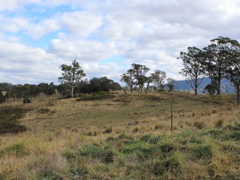 Lot 12 Princes Highway, Cobargo NSW 2550