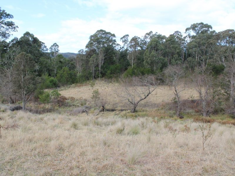 Lot 12 Princes Highway, Cobargo NSW 2550